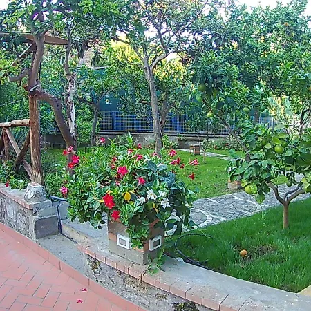 Bed and breakfast Sweet